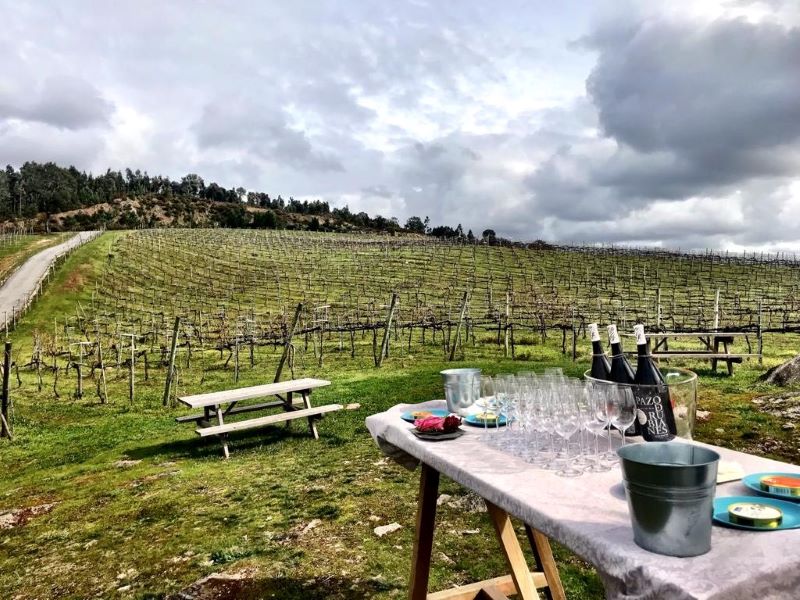 Gama Alta Experiences mesa con vinos y copas en pradera